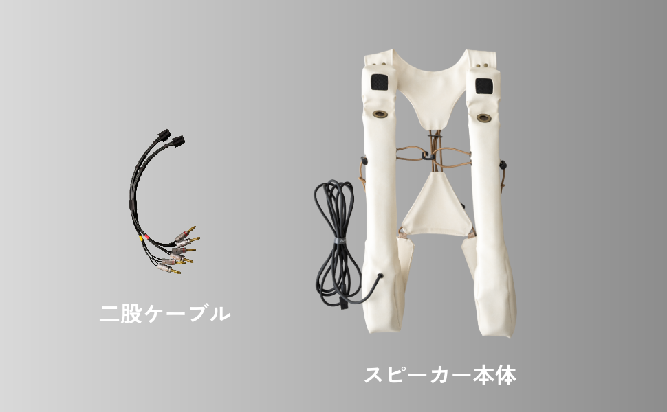 fuiigo-1.1 スピーカー単品｜アンプ別売（買い替え向け）